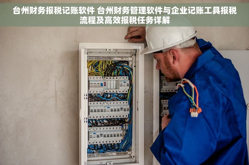 台州财务报税记账软件 台州财务管理软件与企业记账工具报税流程及高效报税任务详解