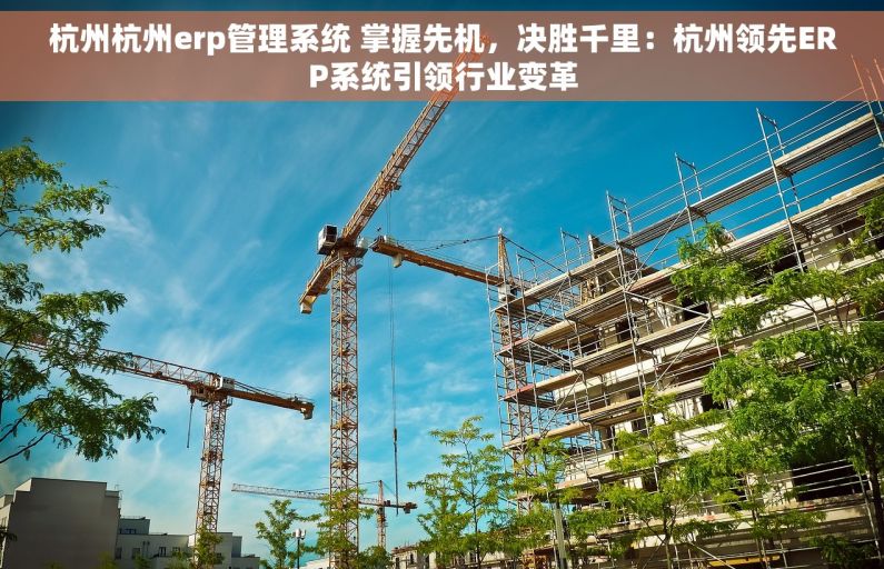 杭州杭州erp管理系统 掌握先机，决胜千里：杭州领先ERP系统引领行业变革