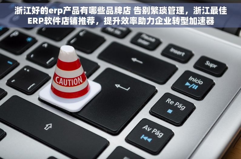 浙江好的erp产品有哪些品牌店 告别繁琐管理，浙江最佳ERP软件店铺推荐，提升效率助力企业转型加速器