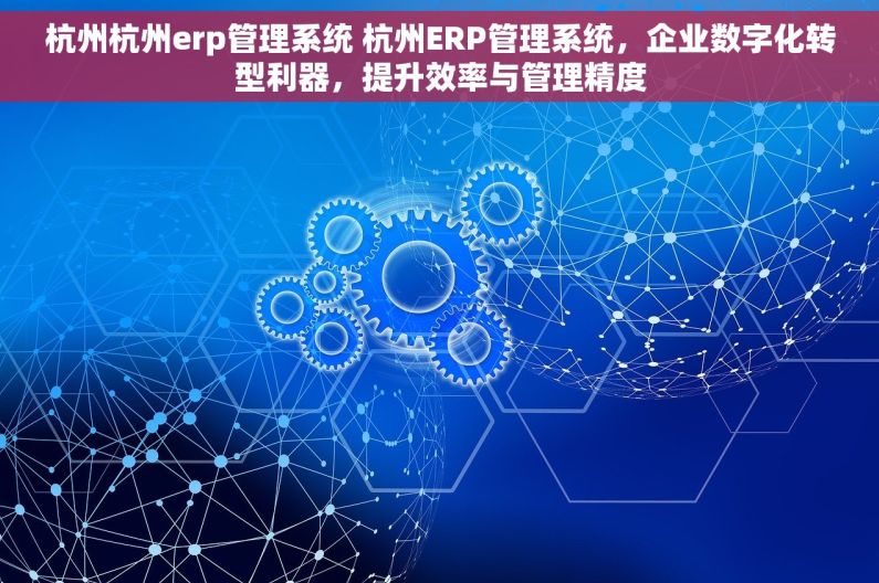 杭州杭州erp管理系统 杭州ERP管理系统，企业数字化转型利器，提升效率与管理精度