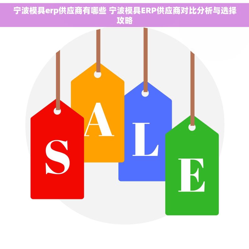 宁波模具erp供应商有哪些 宁波模具ERP供应商对比分析与选择攻略
