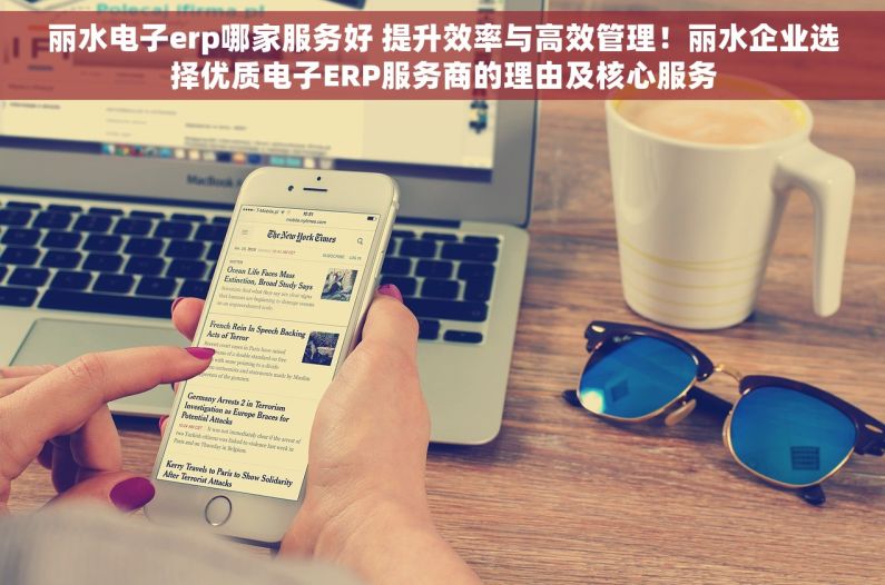 丽水电子erp哪家服务好 提升效率与高效管理！丽水企业选择优质电子ERP服务商的理由及核心服务