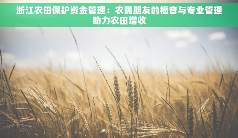 浙江农田保护资金管理：农民朋友的福音与专业管理助力农田增收