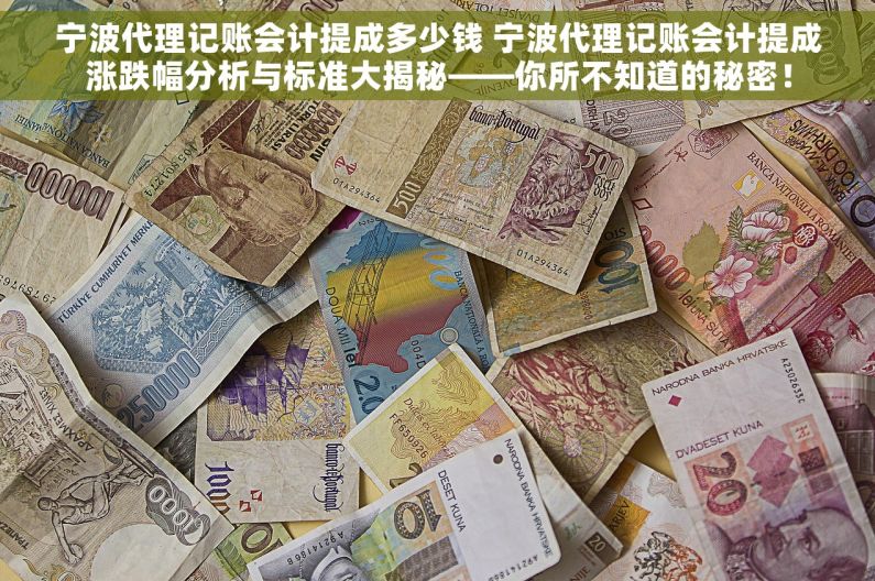 宁波代理记账会计提成多少钱 宁波代理记账会计提成涨跌幅分析与标准大揭秘——你所不知道的秘密！