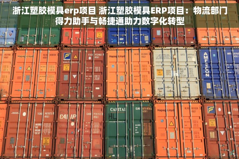 浙江塑胶模具erp项目 浙江塑胶模具ERP项目：物流部门得力助手与畅捷通助力数字化转型