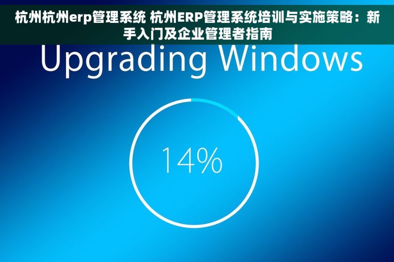 杭州杭州erp管理系统 杭州ERP管理系统培训与实施策略：新手入门及企业管理者指南