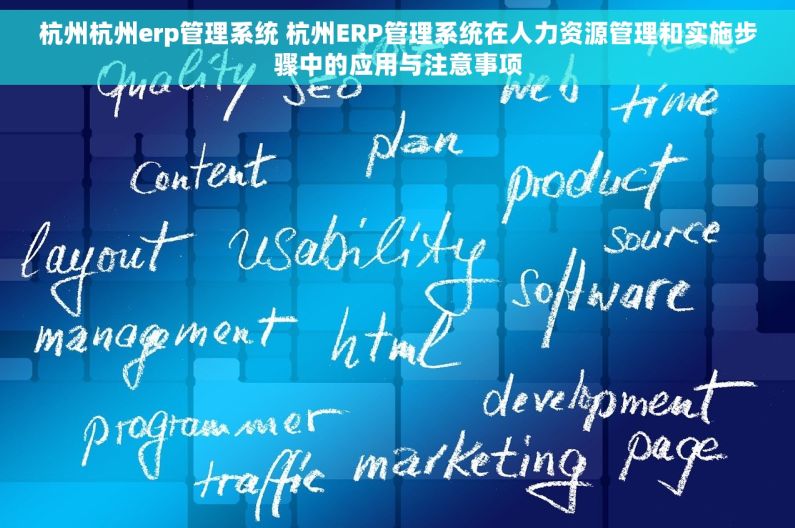 杭州杭州erp管理系统 杭州ERP管理系统在人力资源管理和实施步骤中的应用与注意事项