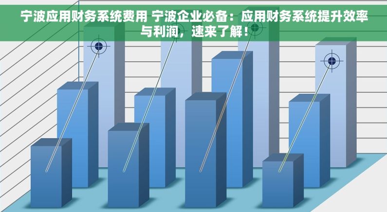 宁波应用财务系统费用 宁波企业必备：应用财务系统提升效率与利润，速来了解！