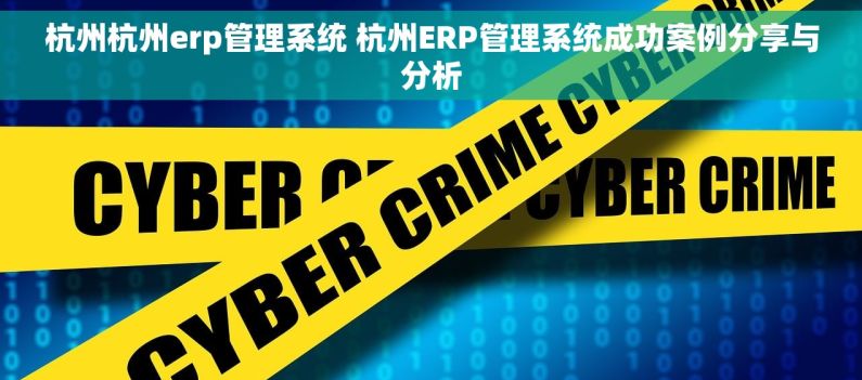 杭州杭州erp管理系统 杭州ERP管理系统成功案例分享与分析