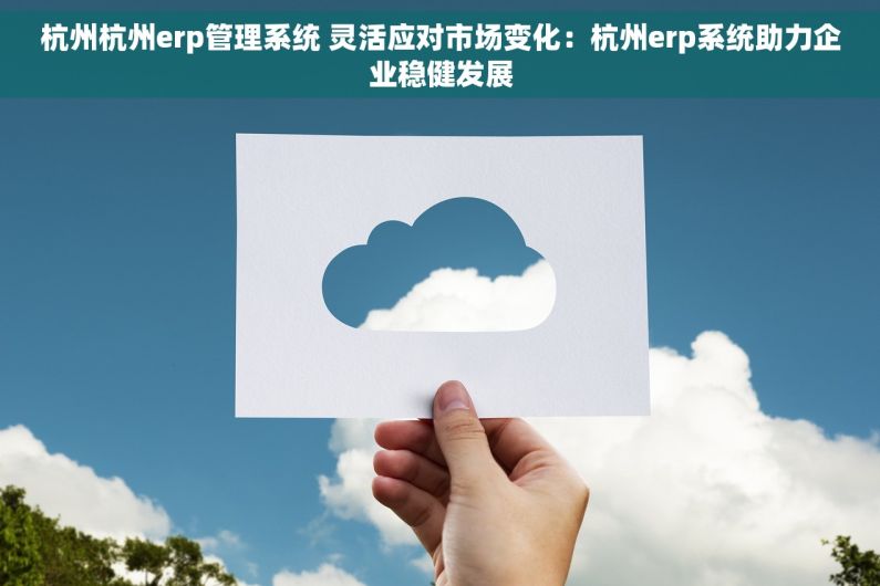 杭州杭州erp管理系统 灵活应对市场变化：杭州erp系统助力企业稳健发展