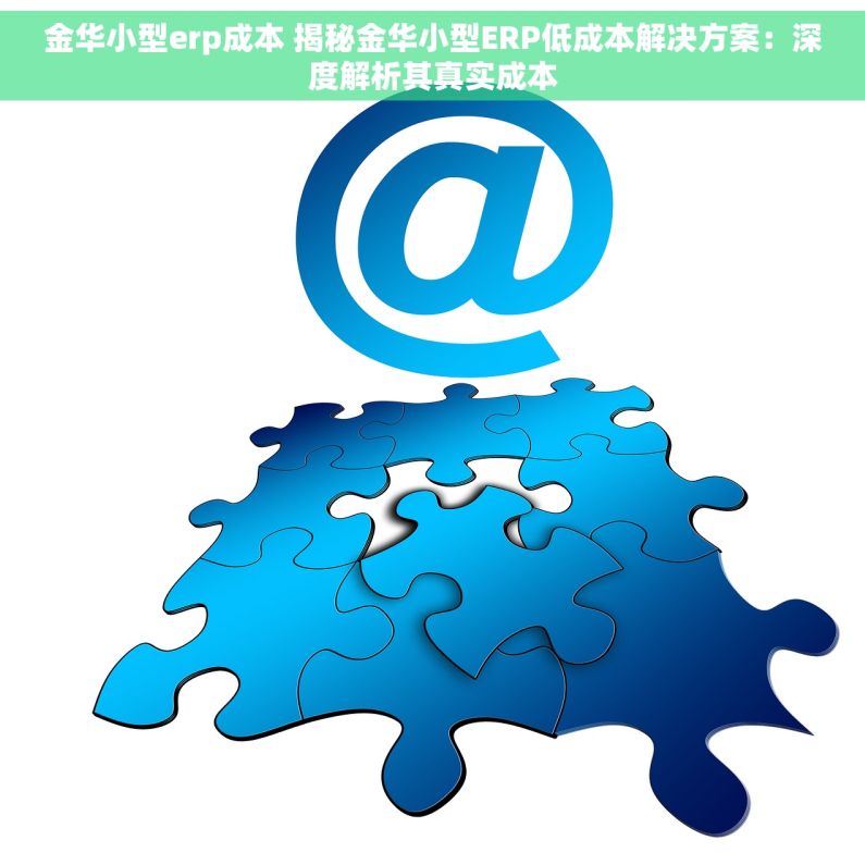 金华小型erp成本 揭秘金华小型ERP低成本解决方案：深度解析其真实成本