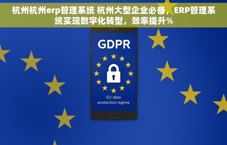 杭州杭州erp管理系统 杭州大型企业必备，ERP管理系统实现数字化转型，效率提升%