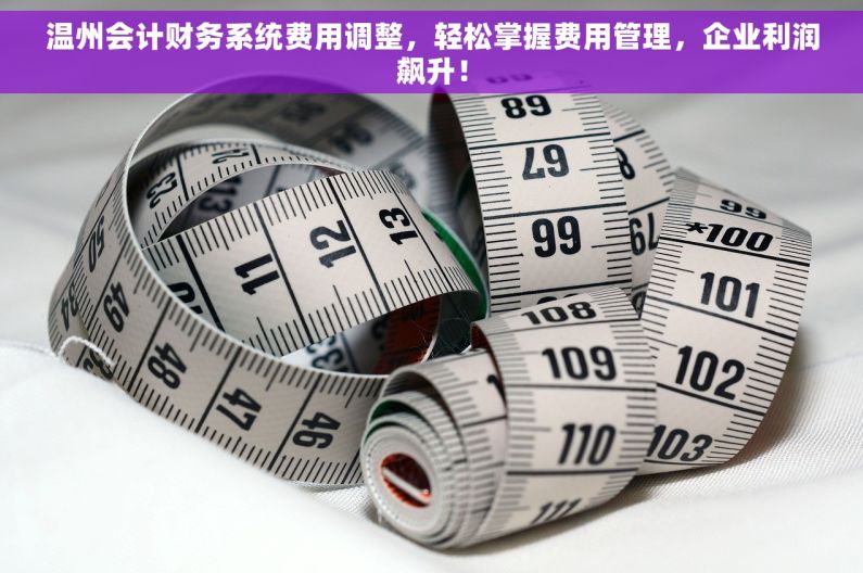 温州会计财务系统费用调整，轻松掌握费用管理，企业利润飙升！