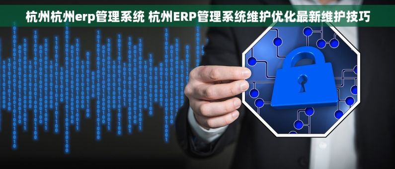 杭州杭州erp管理系统 杭州ERP管理系统维护优化最新维护技巧