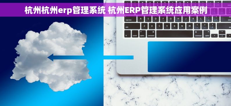 杭州杭州erp管理系统 杭州ERP管理系统应用案例