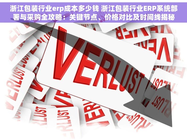 浙江包装行业erp成本多少钱 浙江包装行业ERP系统部署与采购全攻略：关键节点、价格对比及时间线揭秘