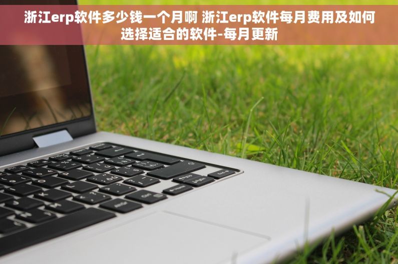 浙江erp软件多少钱一个月啊 浙江erp软件每月费用及如何选择适合的软件-每月更新