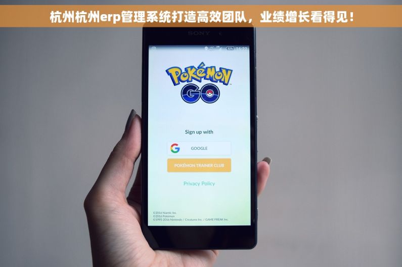 杭州杭州erp管理系统打造高效团队，业绩增长看得见！