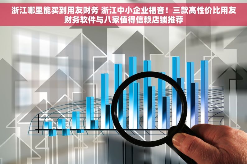 浙江哪里能买到用友财务 浙江中小企业福音！三款高性价比用友财务软件与八家值得信赖店铺推荐