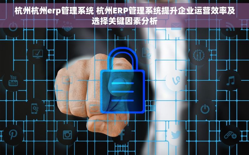 杭州杭州erp管理系统 杭州ERP管理系统提升企业运营效率及选择关键因素分析