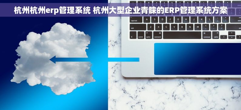 杭州杭州erp管理系统 杭州大型企业青睐的ERP管理系统方案