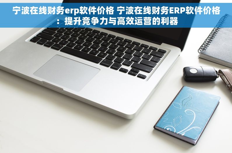 宁波在线财务erp软件价格 宁波在线财务ERP软件价格：提升竞争力与高效运营的利器