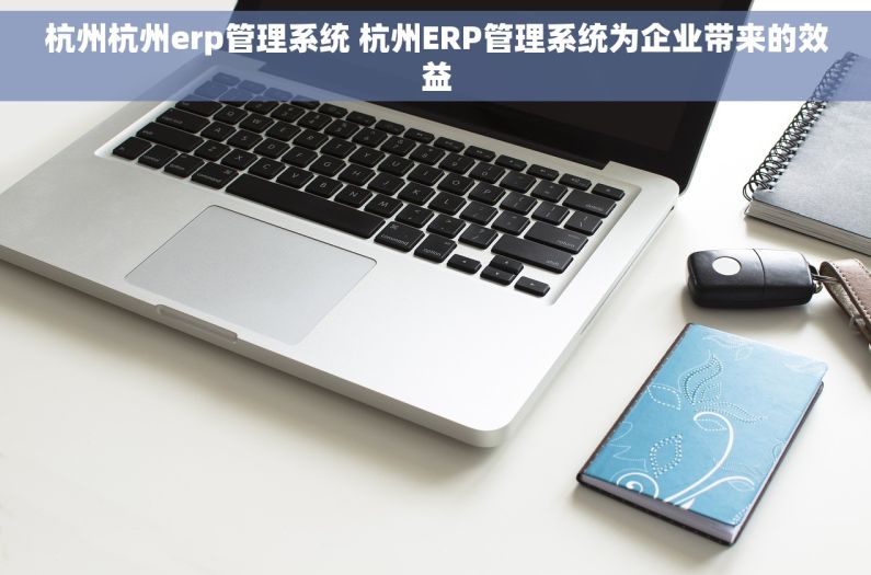 杭州杭州erp管理系统 杭州ERP管理系统为企业带来的效益