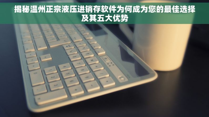 揭秘温州正宗液压进销存软件为何成为您的最佳选择及其五大优势