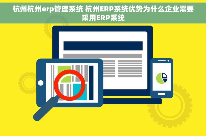 杭州杭州erp管理系统 杭州ERP系统优势为什么企业需要采用ERP系统
