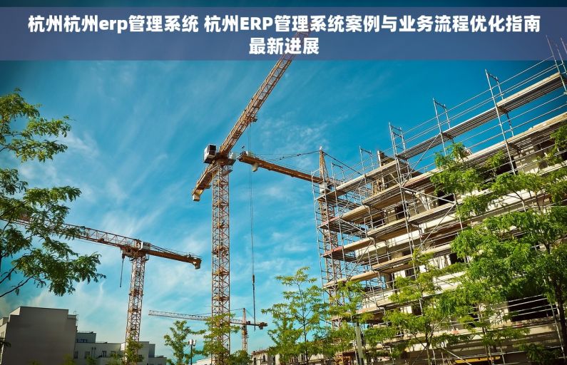 杭州杭州erp管理系统 杭州ERP管理系统案例与业务流程优化指南最新进展