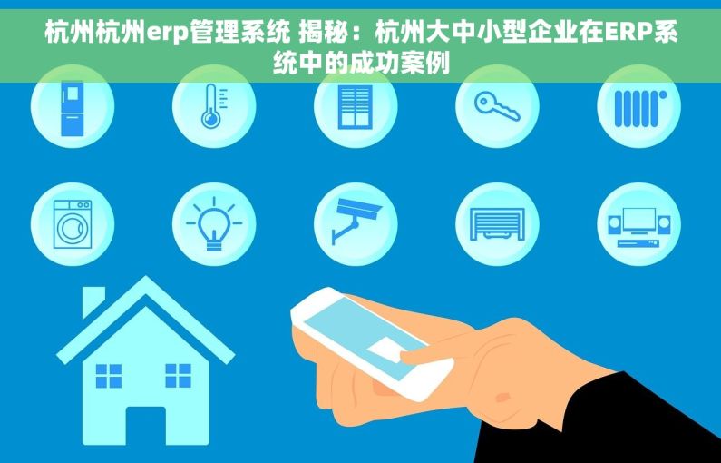 杭州杭州erp管理系统 揭秘：杭州大中小型企业在ERP系统中的成功案例