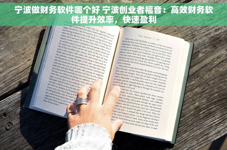 宁波做财务软件哪个好 宁波创业者福音：高效财务软件提升效率，快速盈利