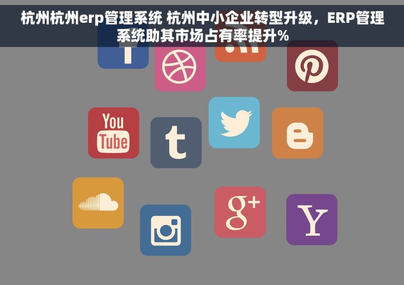杭州杭州erp管理系统 杭州中小企业转型升级，ERP管理系统助其市场占有率提升%