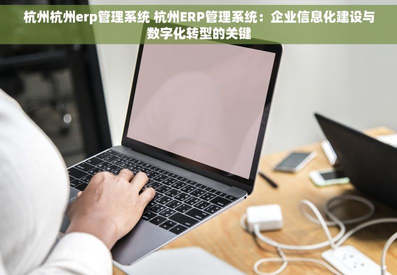 杭州杭州erp管理系统 杭州ERP管理系统：企业信息化建设与数字化转型的关键