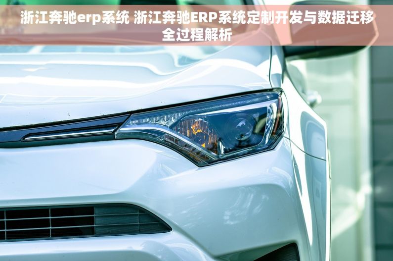 浙江奔驰erp系统 浙江奔驰ERP系统定制开发与数据迁移全过程解析