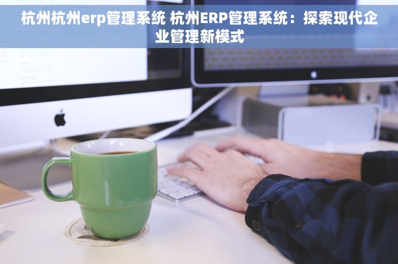 杭州杭州erp管理系统 杭州ERP管理系统：探索现代企业管理新模式