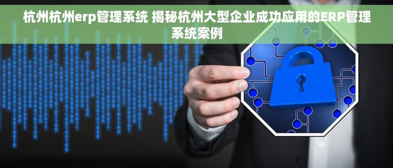 杭州杭州erp管理系统 揭秘杭州大型企业成功应用的ERP管理系统案例