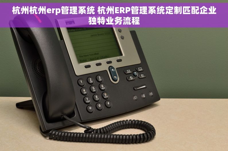 杭州杭州erp管理系统 杭州ERP管理系统定制匹配企业独特业务流程