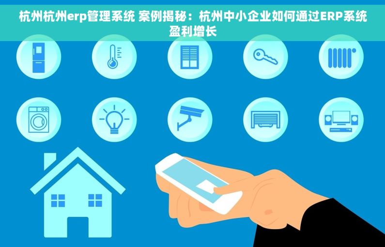 杭州杭州erp管理系统 案例揭秘：杭州中小企业如何通过ERP系统盈利增长