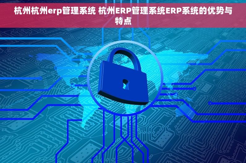 杭州杭州erp管理系统 杭州ERP管理系统ERP系统的优势与特点