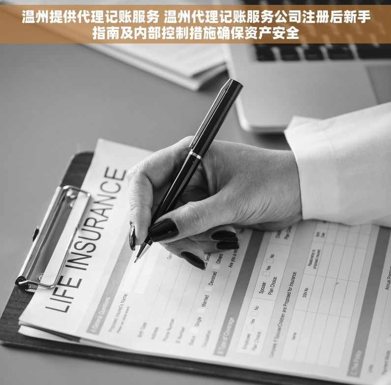 温州提供代理记账服务 温州代理记账服务公司注册后新手指南及内部控制措施确保资产安全