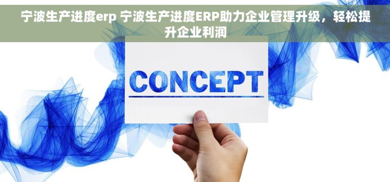 宁波生产进度erp 宁波生产进度ERP助力企业管理升级，轻松提升企业利润