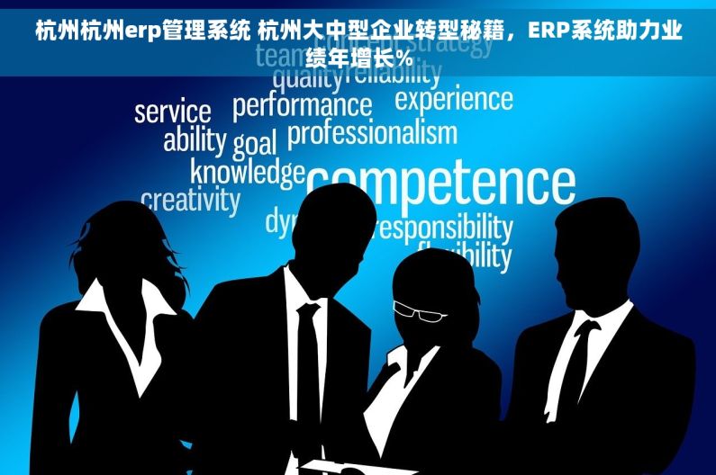杭州杭州erp管理系统 杭州大中型企业转型秘籍，ERP系统助力业绩年增长%
