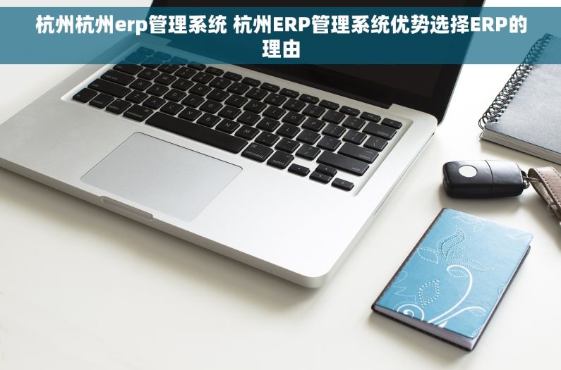 杭州杭州erp管理系统 杭州ERP管理系统优势选择ERP的理由