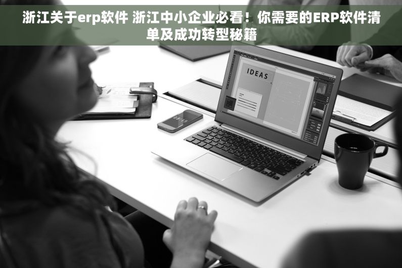 浙江关于erp软件 浙江中小企业必看！你需要的ERP软件清单及成功转型秘籍