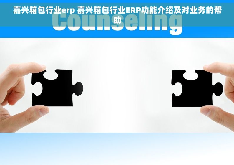 嘉兴箱包行业erp 嘉兴箱包行业ERP功能介绍及对业务的帮助