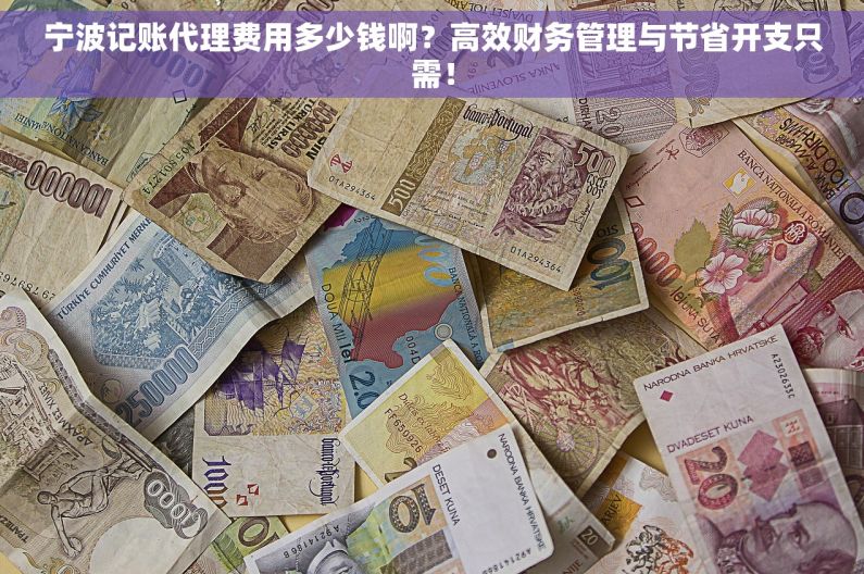 宁波记账代理费用多少钱啊？高效财务管理与节省开支只需！