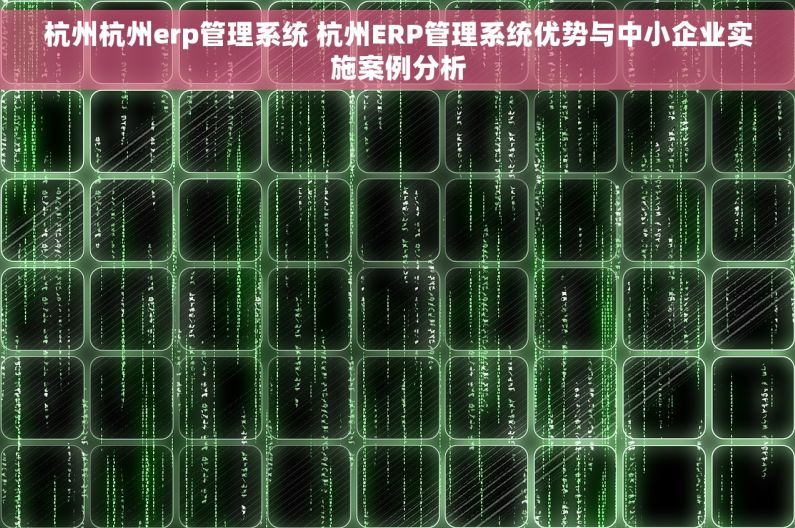 杭州杭州erp管理系统 杭州ERP管理系统优势与中小企业实施案例分析
