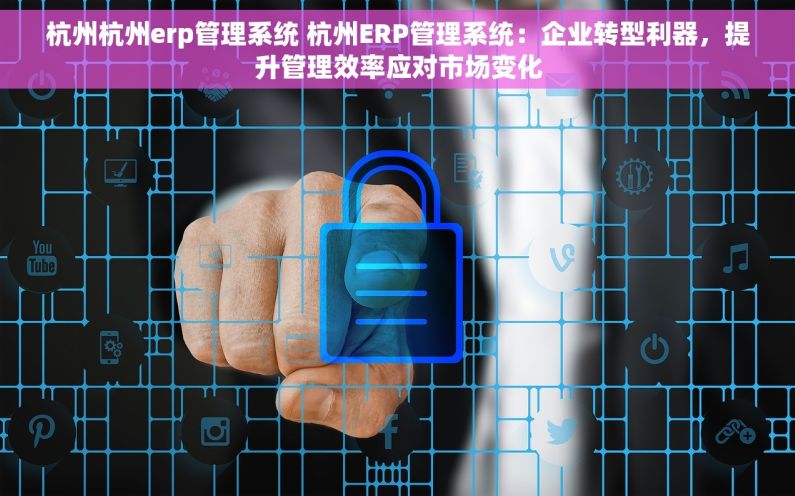 杭州杭州erp管理系统 杭州ERP管理系统：企业转型利器，提升管理效率应对市场变化