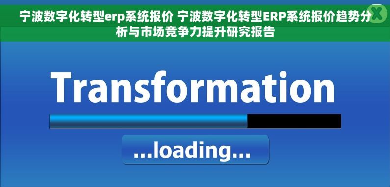宁波数字化转型erp系统报价 宁波数字化转型ERP系统报价趋势分析与市场竞争力提升研究报告